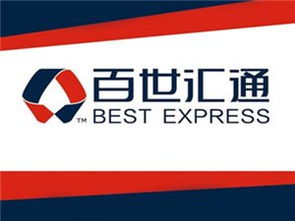 商務服務黃頁與城市聯盟 構建現代商業生態的雙翼